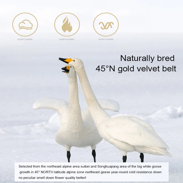 Sondeson luxury d bread white goose down pillows for sleeping filled with goose down bed