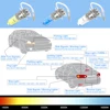 10pcs H3 Super Bright White Fog Halogen Bulb 55W Car Head Lamp Light 12V Car Styling Car Light Source Parking  Auto Accessoires 5