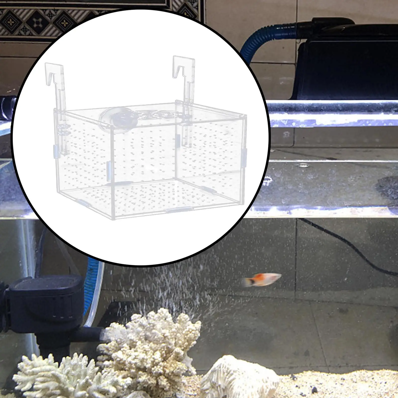 Aquarium Isolation Box Fish Breeding Holder