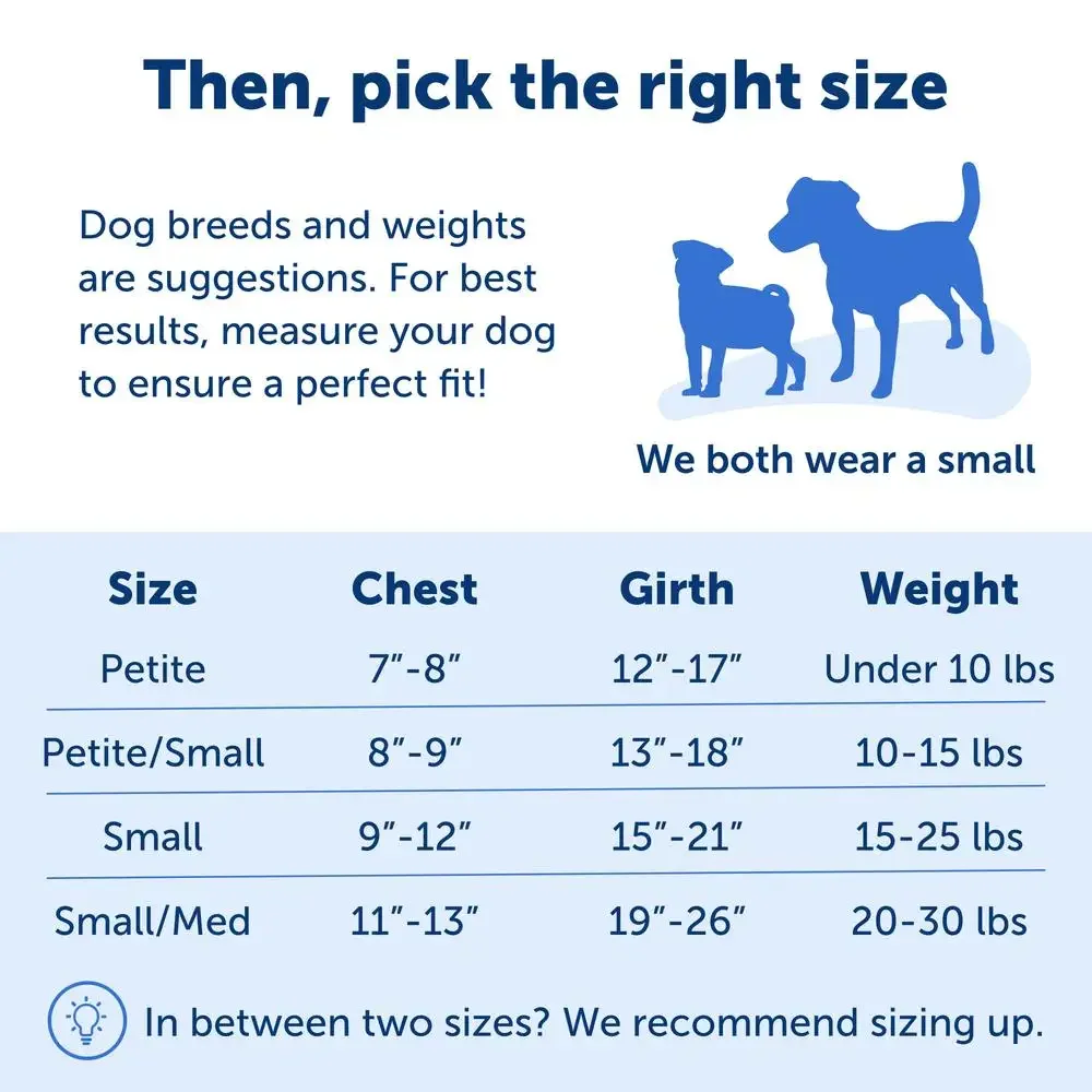 No-Pull Dog Harness Stop Pulling & Improve Leash Manners Lightweight & Breathable Easy Fit Comfortable Martingale Loop Design