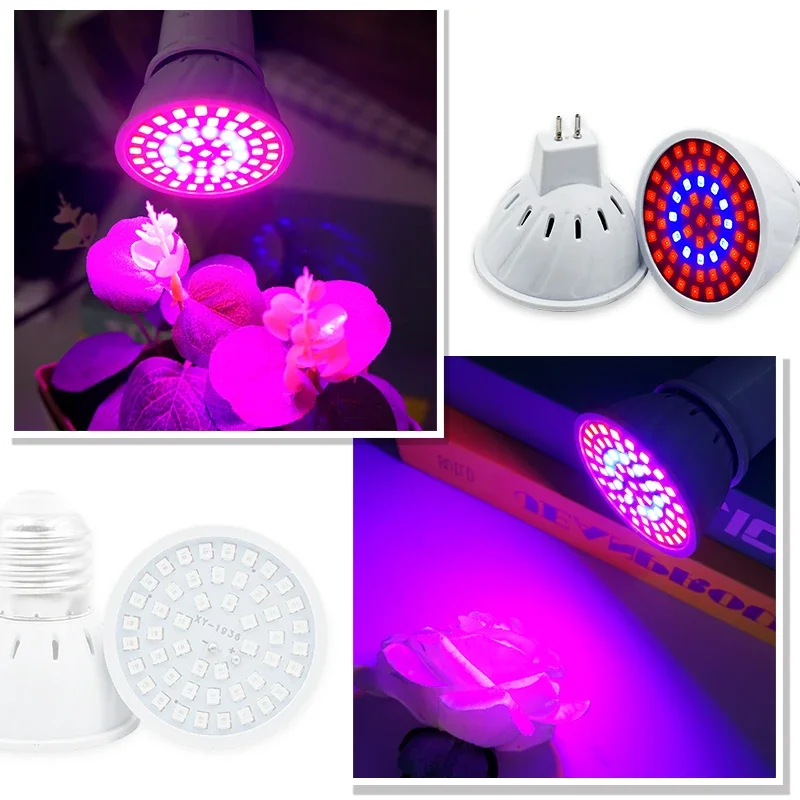 Led Grow Lamp Led Plant Light 10Pcs/Lot E27 E14 Full Spectrum Hydroponic Growth Light MR16 GU10 PhytoLamp Indoor Plants Seedlings Succulents