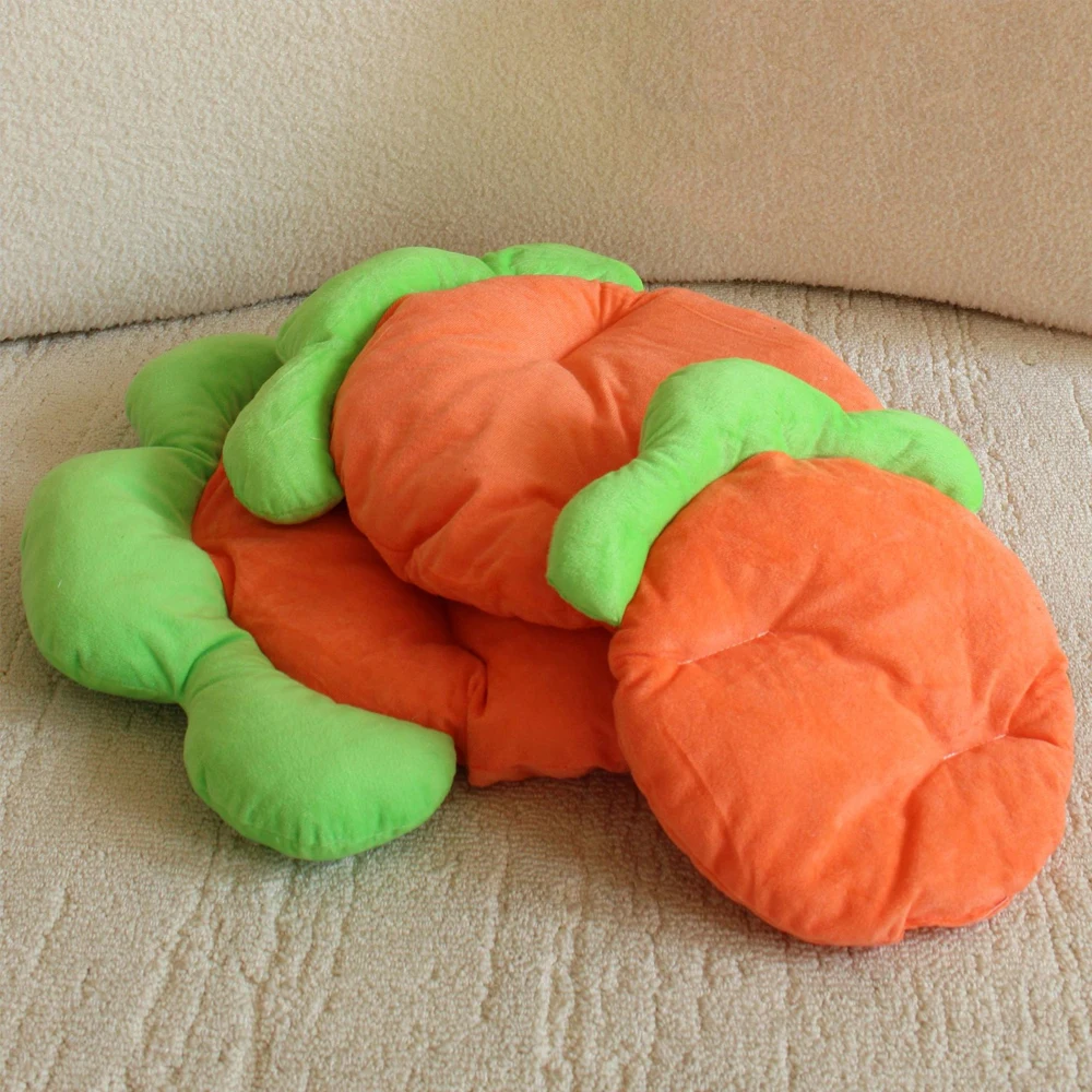 Carrot Pet Mat 5