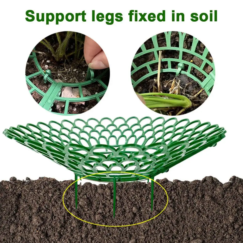 

Strawberry Rack Gardening Tools Planting Rack Cultivation Grown Vegetable Supplies Rack Potted Tray Garden Balcony Stand Pl C6M4