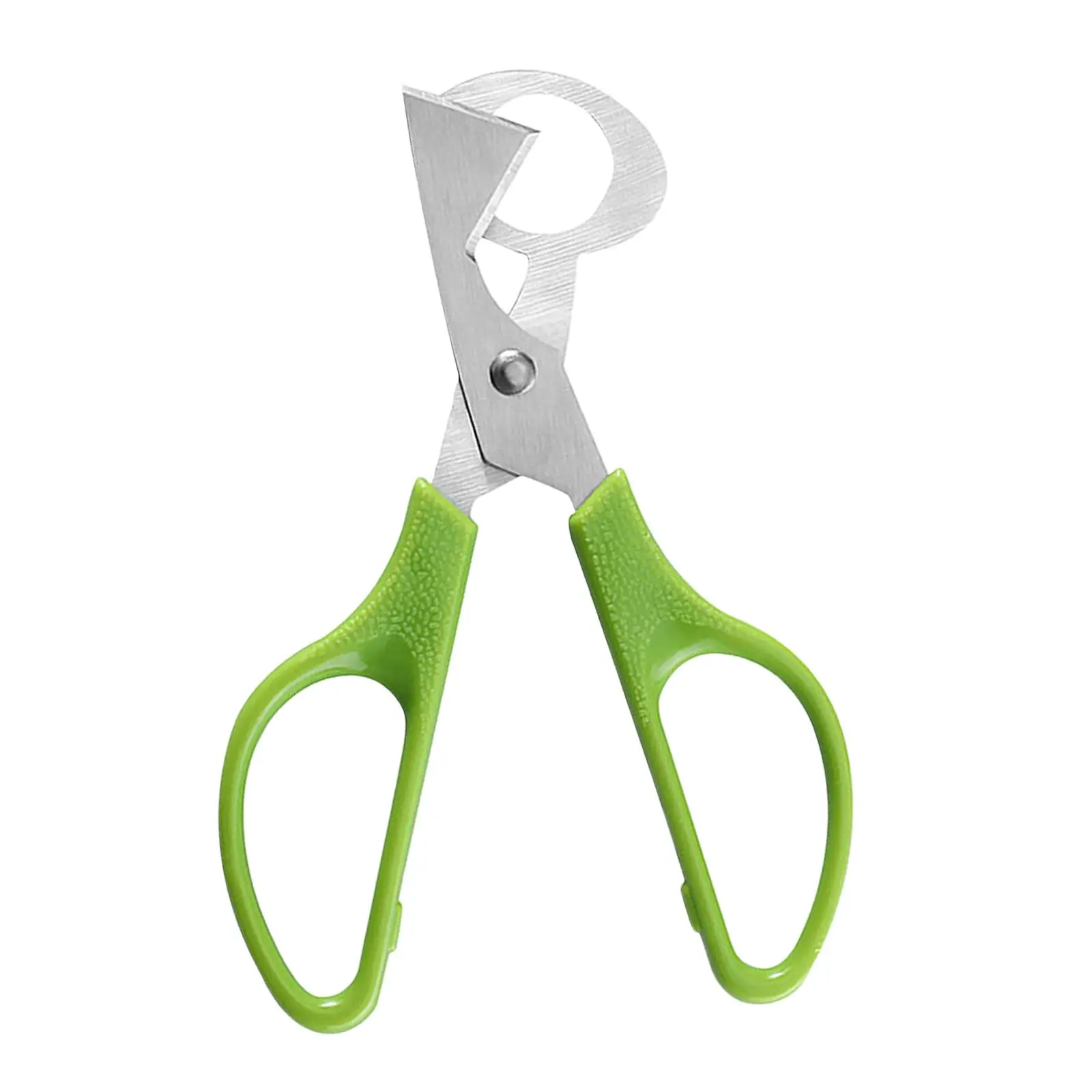 Stainless Steel Pigeon Egg Scissors Cigar Shear Cut Separator Egg Shell Cutter Egg for Kitchen