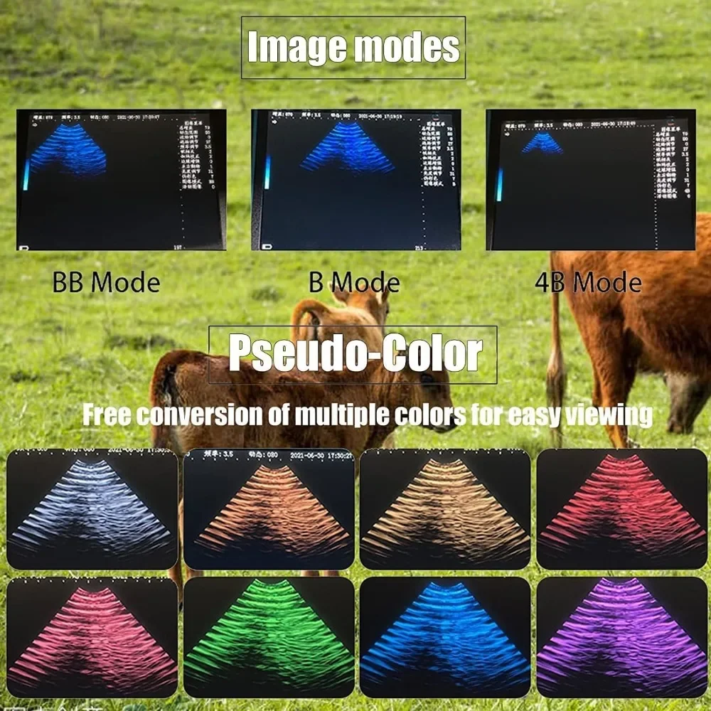 Ultrasound Scanner Veterinary for Pregnancy,Vet Digital Portable B-Ultra Sound Scanner 8 Color Panels for Animals Pregnancy Test