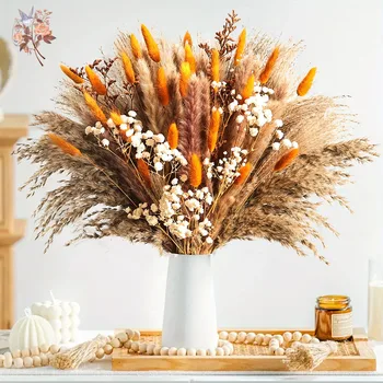 Autumn Dried Fluffy Pampas Bunny Tails Boho Home Nature Flower Bouquet Baby Breath Living Room Vase Decor Wedding Couples Gift