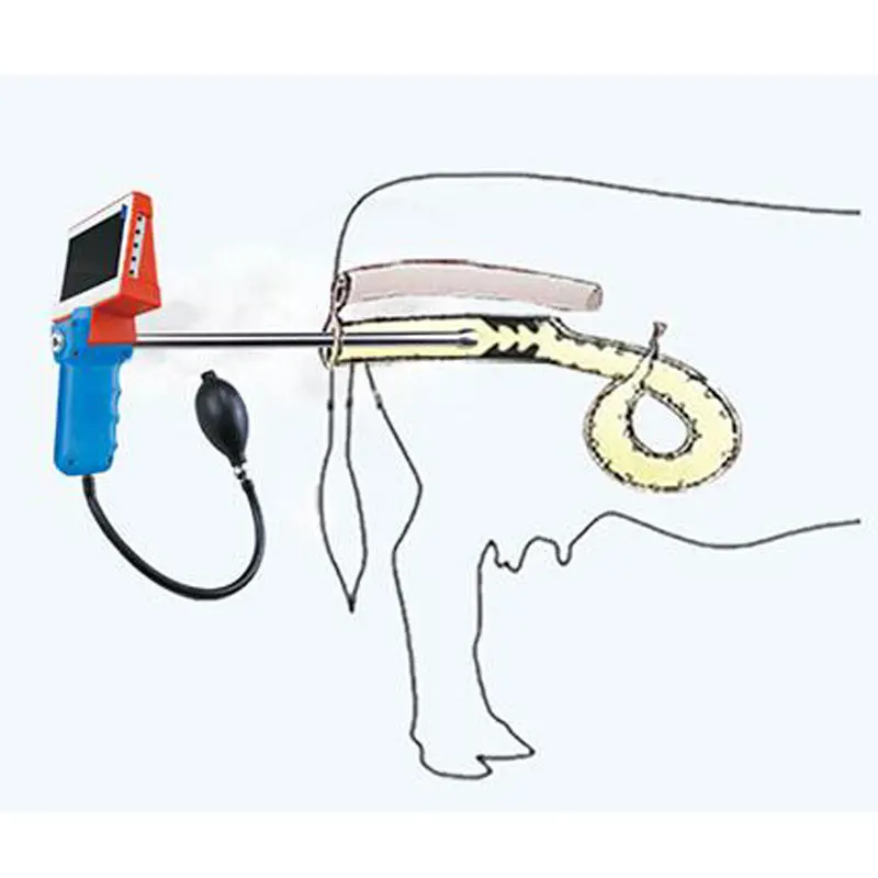 

2021 hot sale cattle cow veterinary ai gun artificial insemination gun