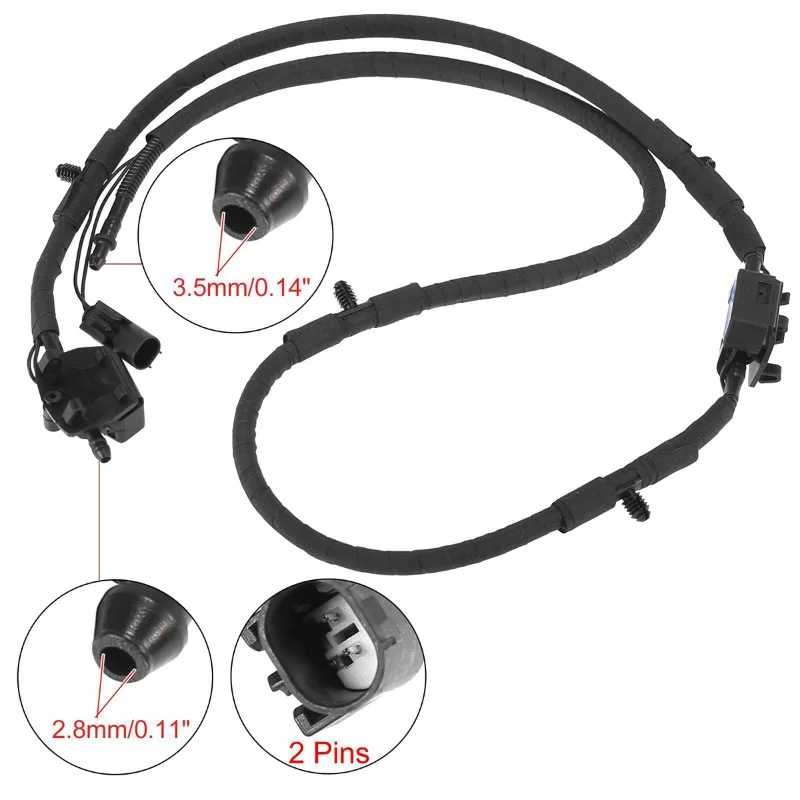 疫 LY6E impairs coronavirus fusion and confers immune control of