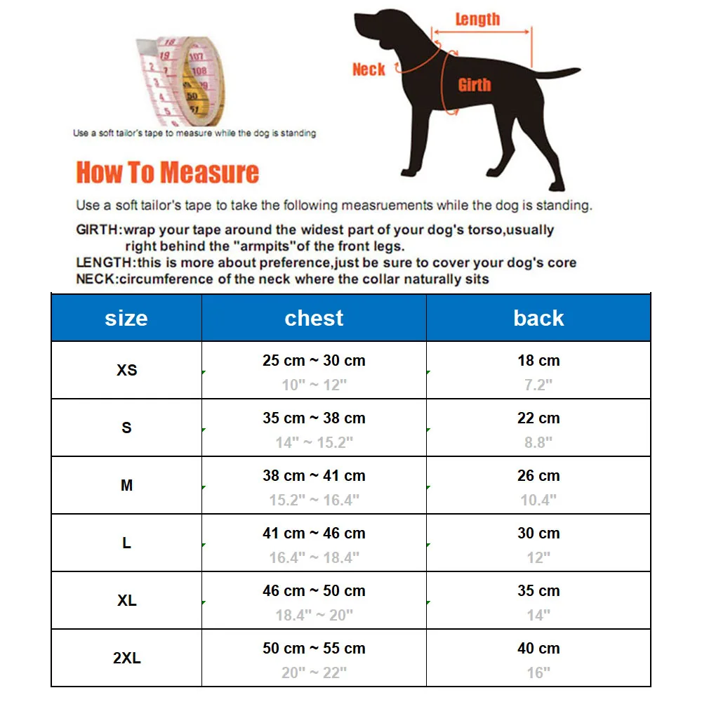 Kajak Paddelseil - Dehnbares Anti-Verlust Seil Für Kajak, Kanu Mit Metallhaken