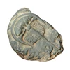 1PC Child Toy Simulated Resin Fossil Ornament Crawling Terrarium Decors Decorative Container Landscape Reptile 6