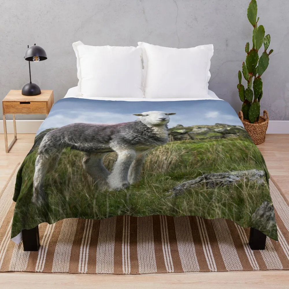 

Одеяло Happy Herdwick, тепловое одеяло, индивидуальный подарок, роскошное Брендовое одеяло