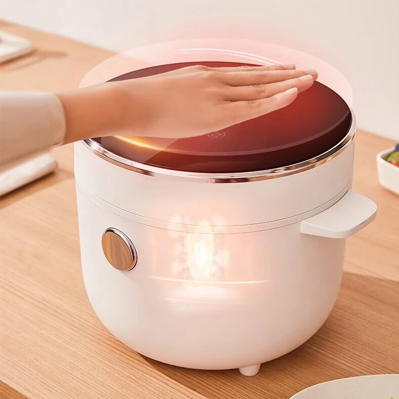 2L Electric Low Sugar Rice Cooker Portable Porridge Soup Cooking Machine  Hotpot Food Steamer Warmer Frying Pan Breakfast Maker - AliExpress