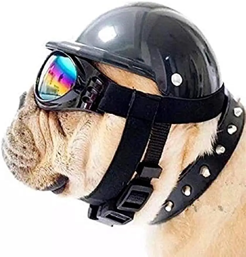 doggles goggles for dogs