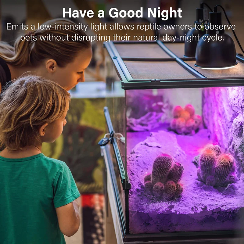Infrared Heating Lamp Reptile Night Heating Light 25W-100W Simulated Moonlight Lamp Bulb Amphibians Pets Lives Stock