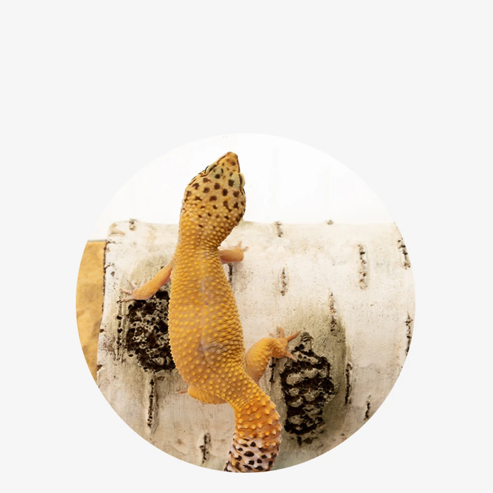 Title 11, Resin Large Reptile Hide Wooden Bark Appearance...