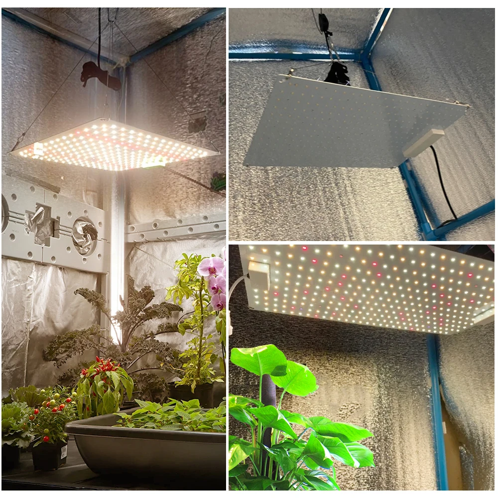 Aluminum Lamp Body Waterproof AC220V 110W Full Spectrum Professional Grow Light Luminous Chip LM281B LED Plant Growth Light