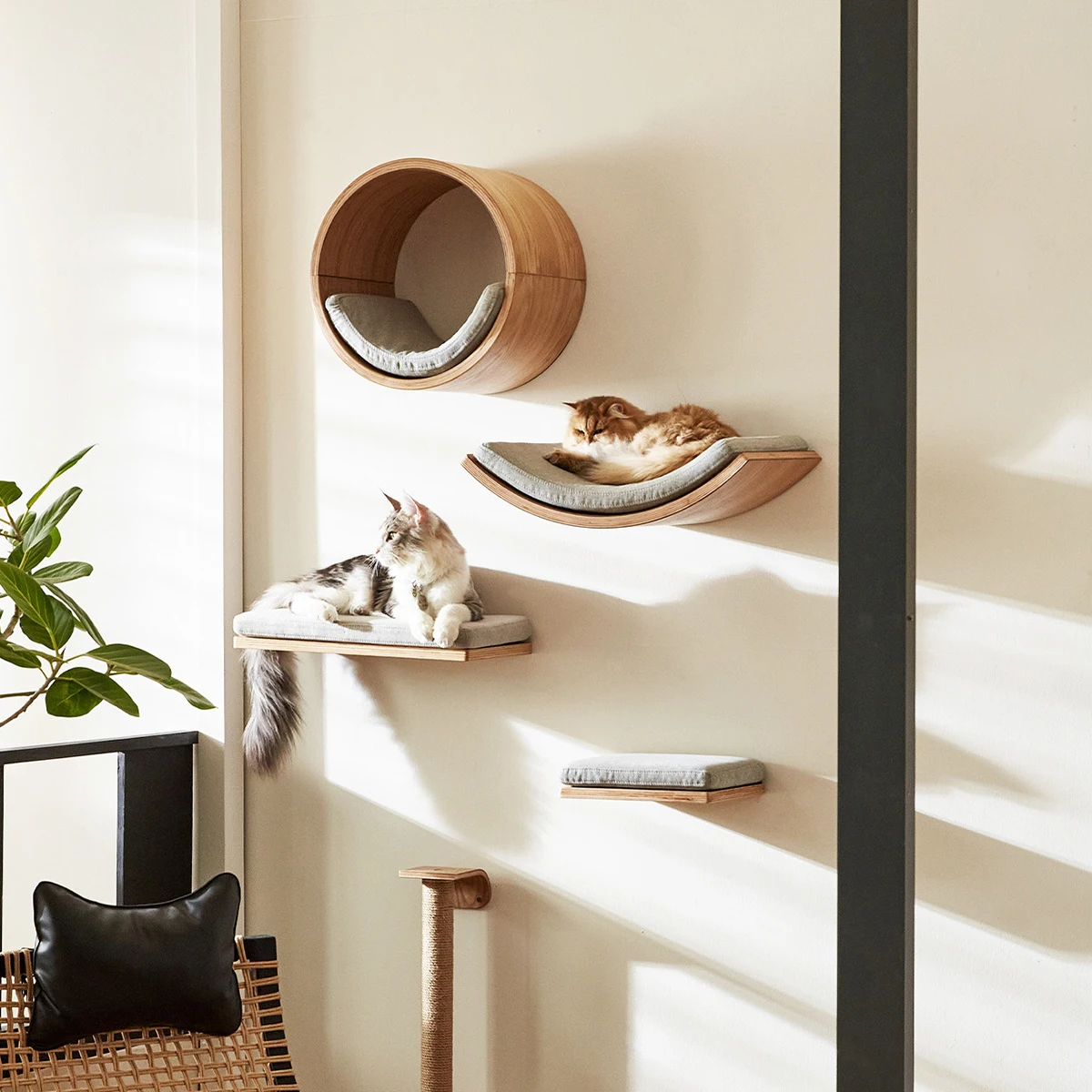 Estantes de pared curvos para gatos con hamaca y escalones