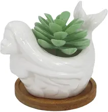 

Cute Animal Ceramic Succulent Planter Pot Indoor Plants Cactus Bonsai Holder for Home Office Desk Decoration Birthday Party Gift