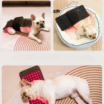 Infrared Hoof Therapy Pad 8