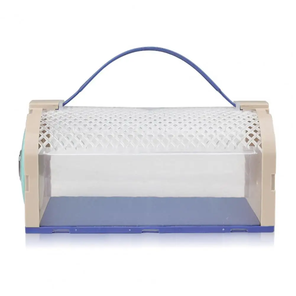 Рисунок 6 - Бабочки клетка интересный прозрачный