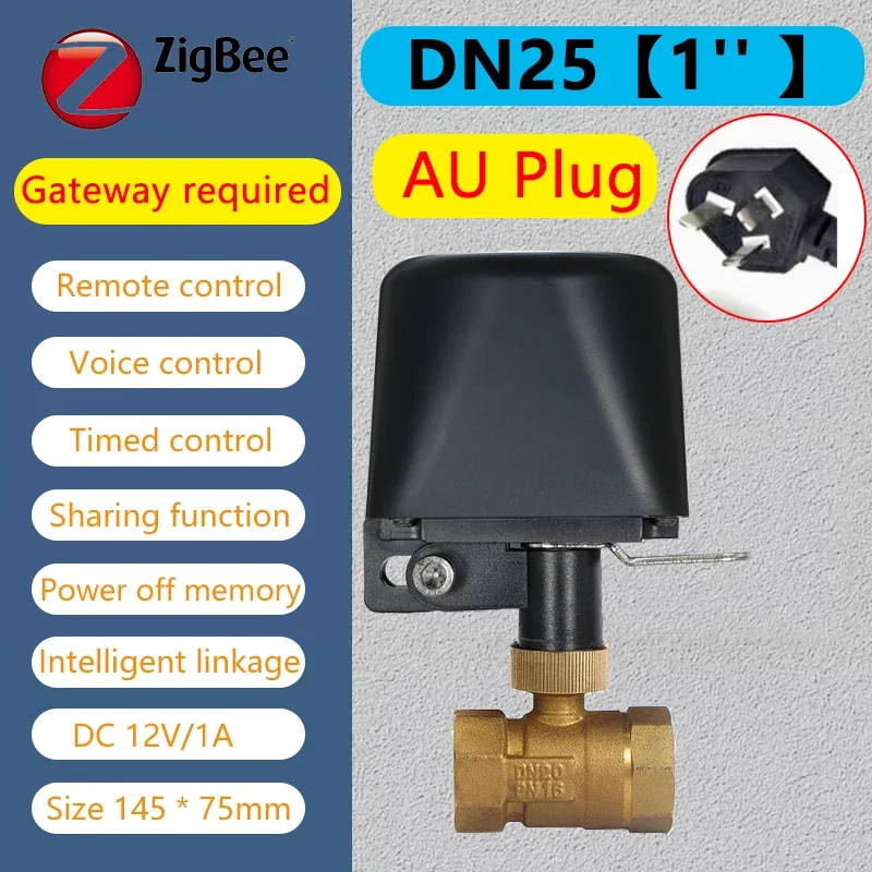 Zigbee DN25 AU