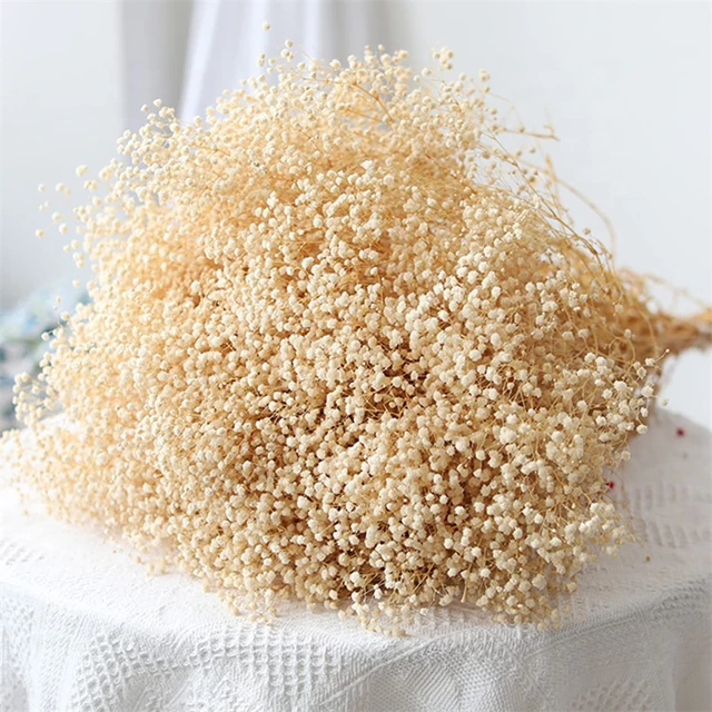 Dried Flowers Babys Breath Flowers Bouquet Natural Real Gypsophila Branches  for Wedding Wreath Floral, Boho Decor,Dry Flowers