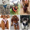 Cat Small Dog Breathable Mesh Harness And Leash Kitten Cats Harnesses Little Dog Puppy Harness For French Bulldog Chihuahua Pug 6
