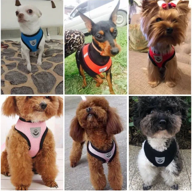 Cat Small Dog Breathable Mesh Harness And Leash Kitten Cats Harnesses Little Dog Puppy Harness For French Bulldog Chihuahua Pug 6