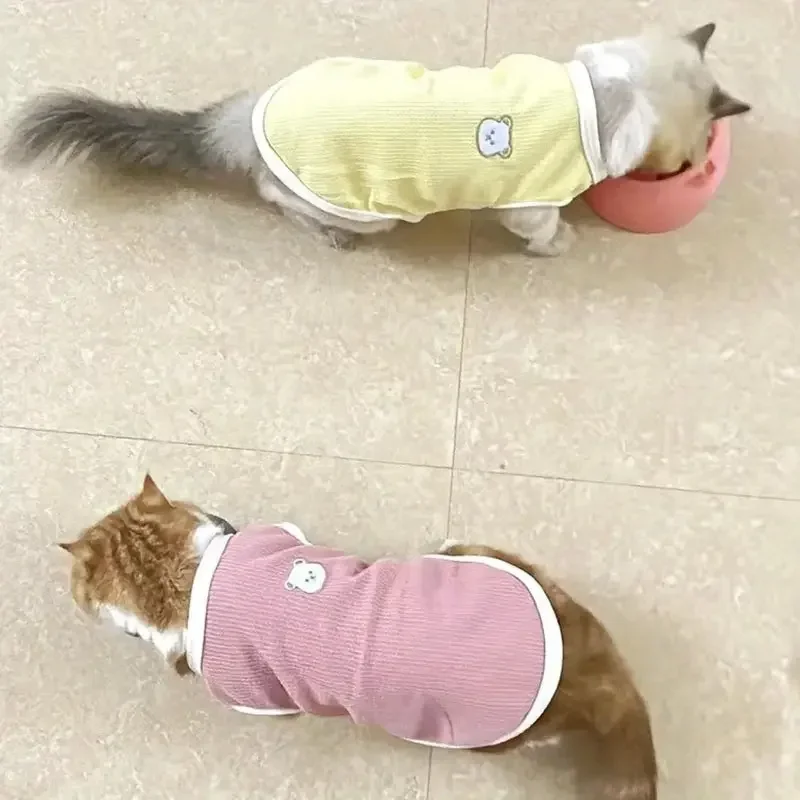 곰 애완 동물 조끼 개 옷 고양이 솔리드 티셔츠 의류 개 얇은 작은 패션 치와와 여름 고양이 조끼 통기성 얇은 섹션