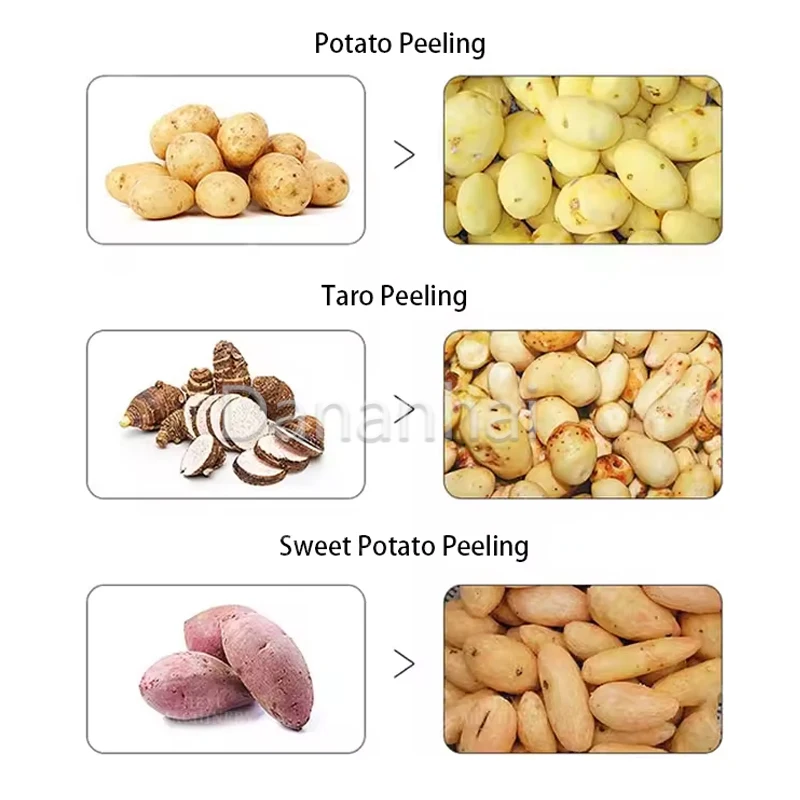 Industrial High-Power Electric Potato Peeler/Commercial Fully Automatic Taro Cleaning And Peeling Machine 6
