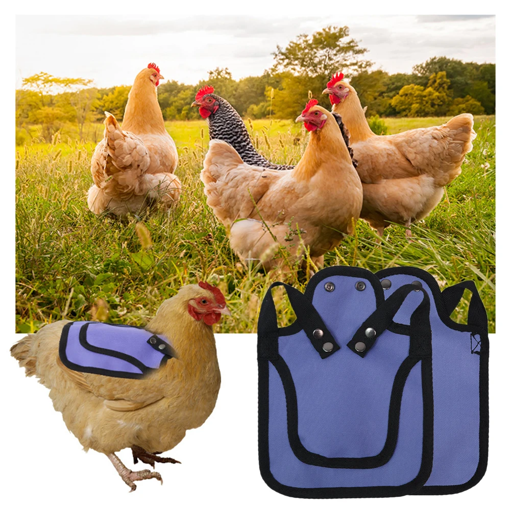 6-Pack Chicken Saddles For Hens – Adjustable Waterproof Aprons For Back Feather Protection