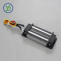 Élément chauffant 12V ~ 220V 200W 300W AC DC Thermos isolé PTC chauffage d'air en céramique 110V incubateur chauffage électrique 120x50mm 76A2 5