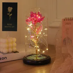 Eternal Beauty Enchanted Galaxy Rose with Fairy Lights in Glass Dome (Pink)