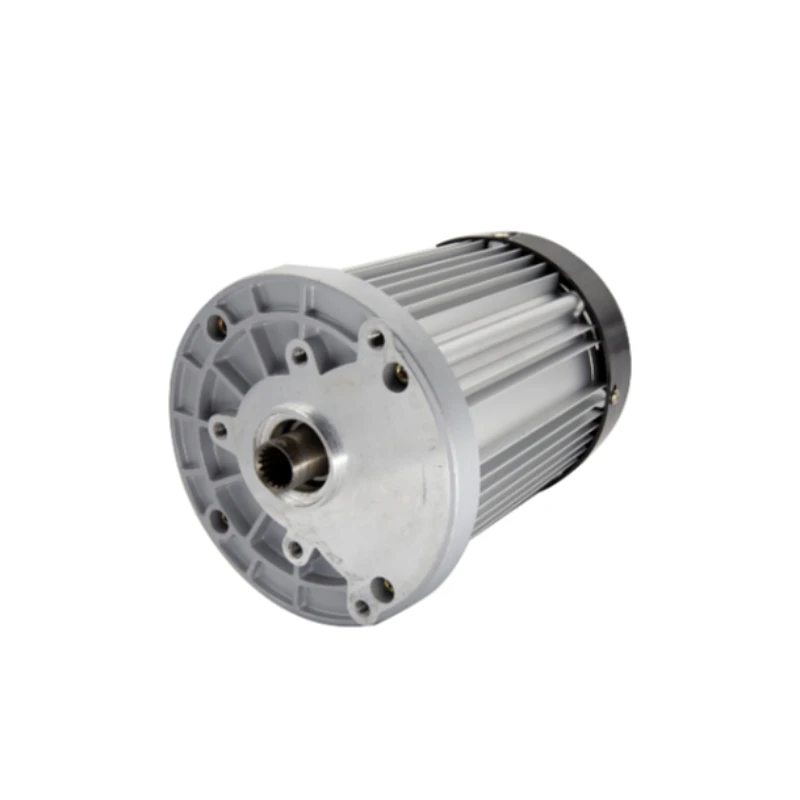 Motore per veicoli elettrici di alta qualità Motore per triciclo DC48V 60V 1500W Motore a trasmissione diretta - immagine 2
