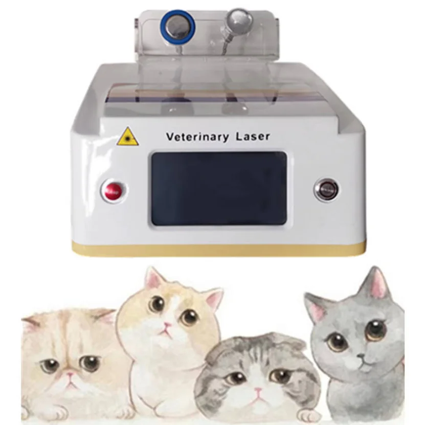 

Veterinary Laser Equipment Class Iv Vet Laser Wound Healing Laser Physiotherapy