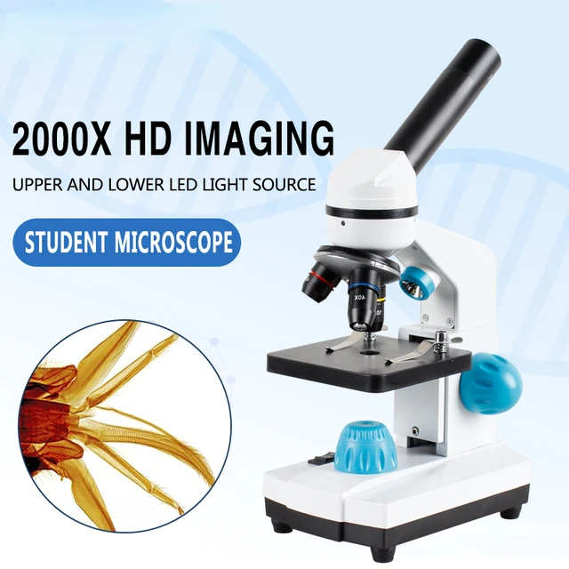 Microscope pour - Microscope de Poche HD 2 en 1 100x-250x pour