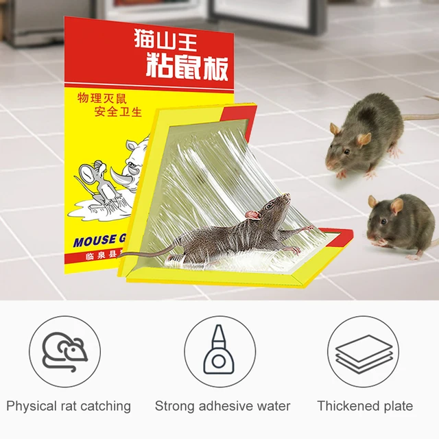 Generic 3*Piège à colle de souris Non toxique - Panneau collant