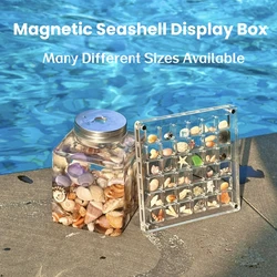 Acrylic Magnetic Seashell Display Box Seashell Clear Starfish Trinket Organizers 36/64/100 Grids Mini Seashell Storage Box