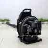Fiber Snow Blower EB650 Two Stroke 1E48FP Engine Backpack Leaf Blower Garden Power Tools 63.3cc Portable Gasoline Air Blower 3