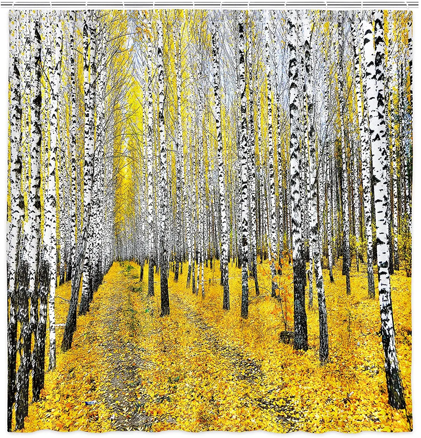 

Fall Fabric Shower Curtain Autumn Yellow Birch Tree Forest Shower Curtain with Hooks Nature Landscape Bathroom Curtains