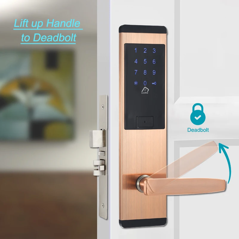 Apartment M1 Card Electronic Door Lock Fechadura Inteligente Digital Lock  with Touch Keypad