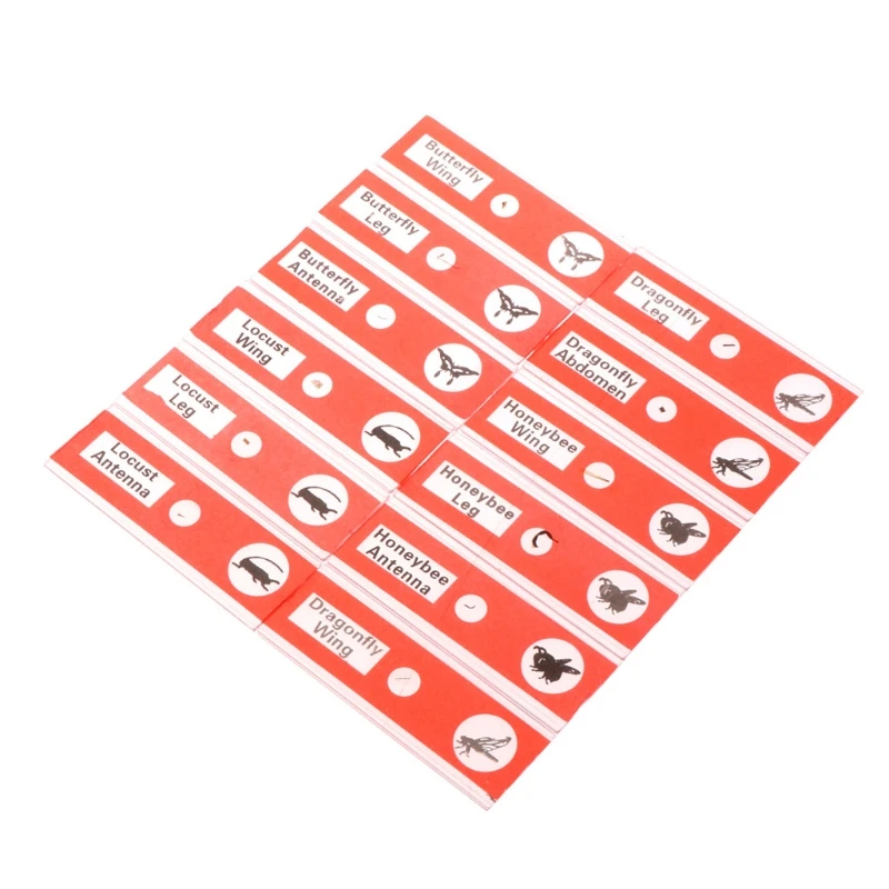 

L69A Microscope Slide Biological Prepared Microscope Digital Slide