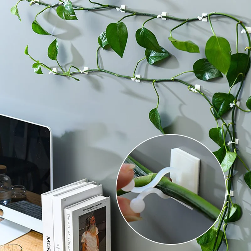 10Pcs Plant Wall Clips for Climbing Plants Wall Plant Holder Support Clips Fixer Invisible Vines Fixing