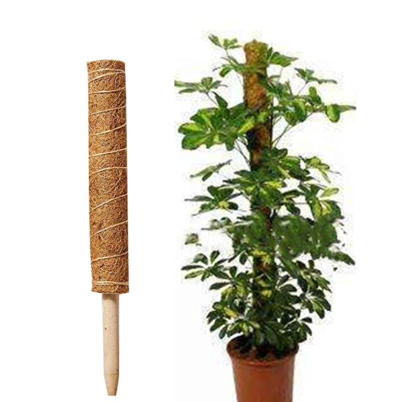 Climbing Pole Plant Support Indoor Climbing Plants Stake plant stakes