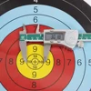 Double Face Archery Targets 2