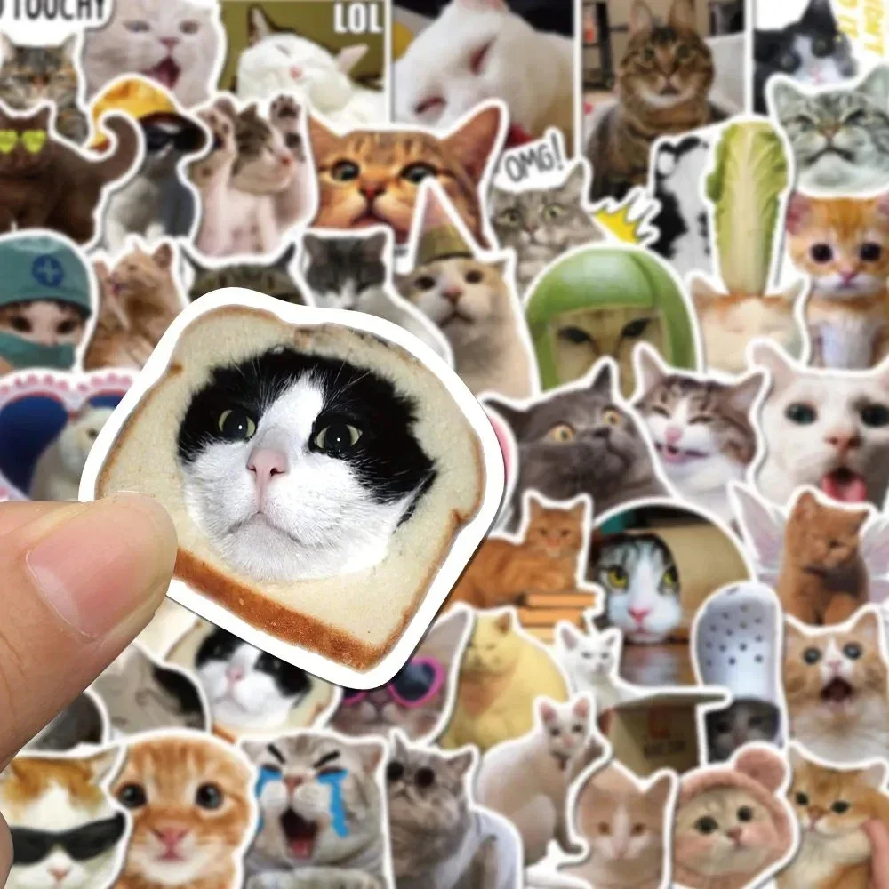 50Pcs Kawaii Funny Cat Stickers Pack Waterproof Laptop Phone Scrapbooking Motorcycle Car Korean Decal Sticker for Kids Toys 4