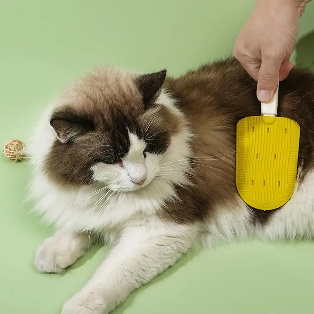 Dual-Sided Pet Grooming & Massage Brush for Detangling and Shedding