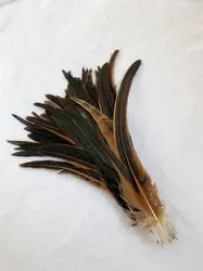 Natural Brown Rooster Tail Feather Accessories for DIY and Performance (Natural Browm)