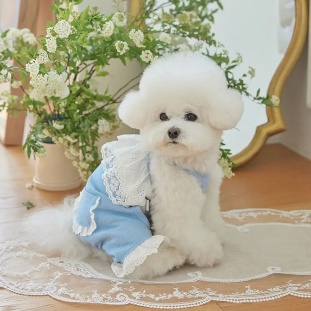 편안하고 부드러운 애완동물 레이스 점프수트 패션 얇은 디자인 강아지 잠옷 통기성 좋은 강아지 옷 여름