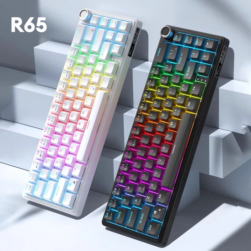 

MiFuny R65 Mechanical Keyboard 66Keys TYPE-C Wired Gamer Keyboard RGB Backlit Hot Swap Gaming Non-contact Mechanical Keyboard PC